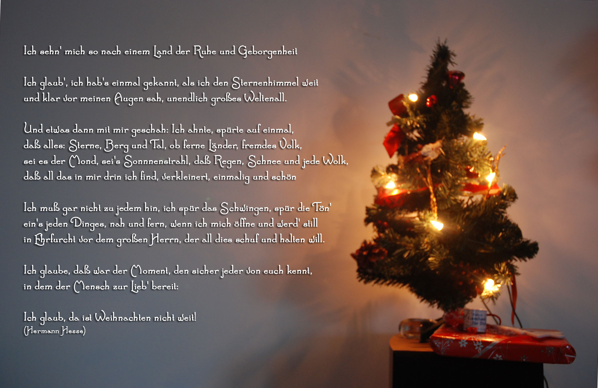 Advent 23: Weihnachtsgedicht  Christmas carol - Fit & Glücklich