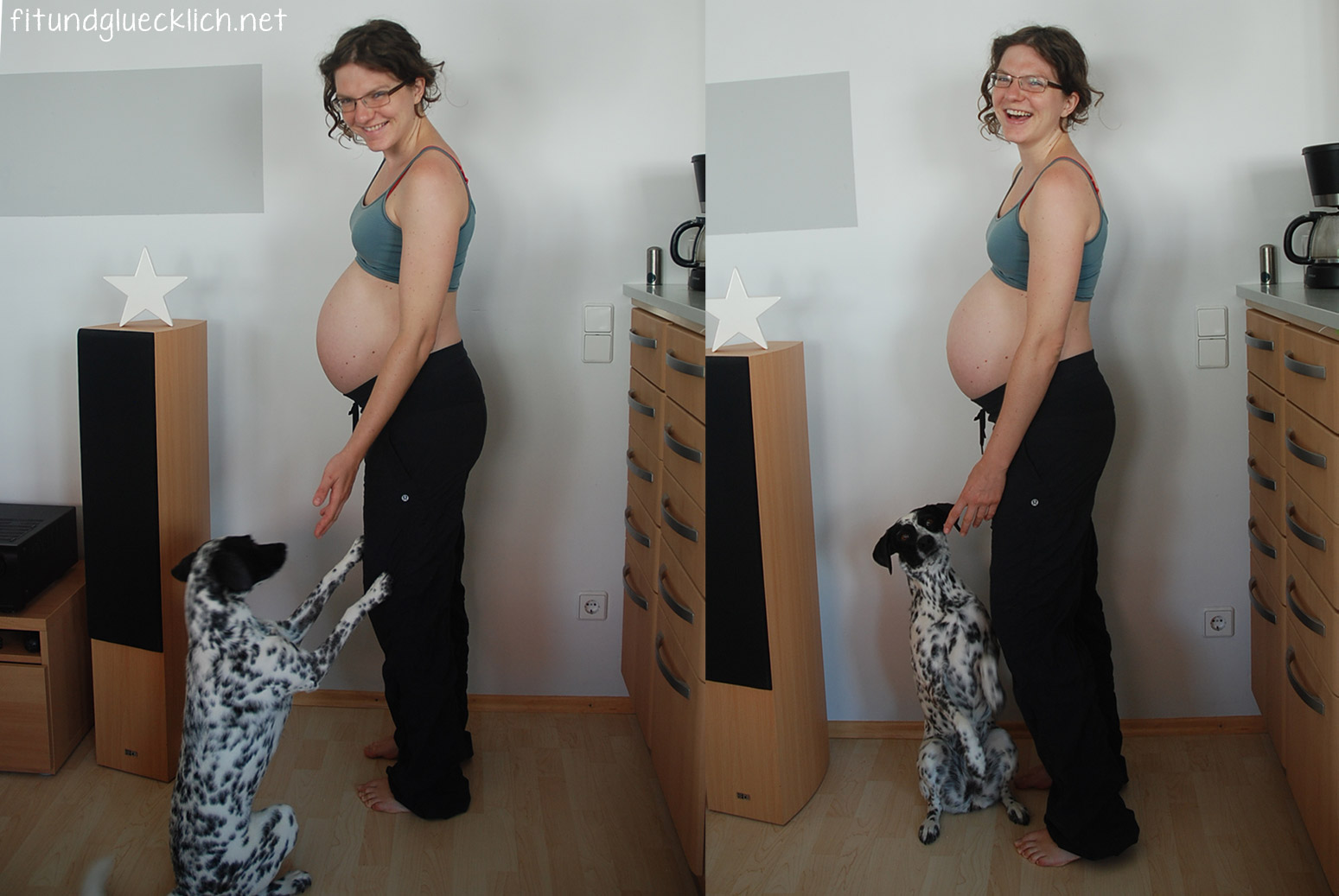 Meinem hilfe von ich schwanger hund bin [Download] Liebes