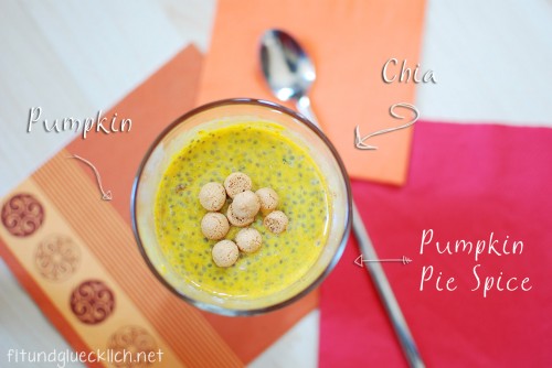 pumpkin-pie-chia-pudding-2