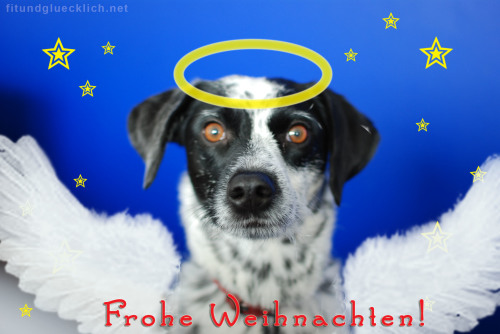 Mini Weihnachten Blog