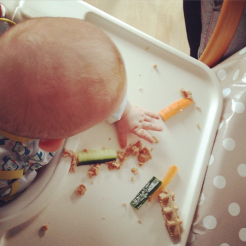 9qj86.w4yserver.at, blw, baby led weaning, breifrei, baby, essen, ernährung