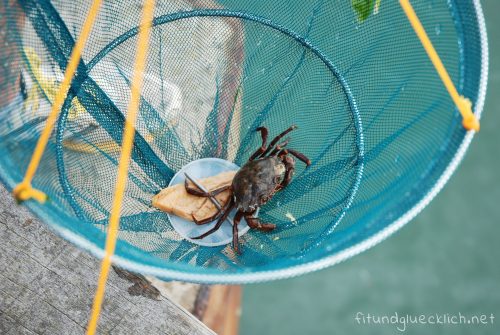 Campervan-Cooking-Krabbe