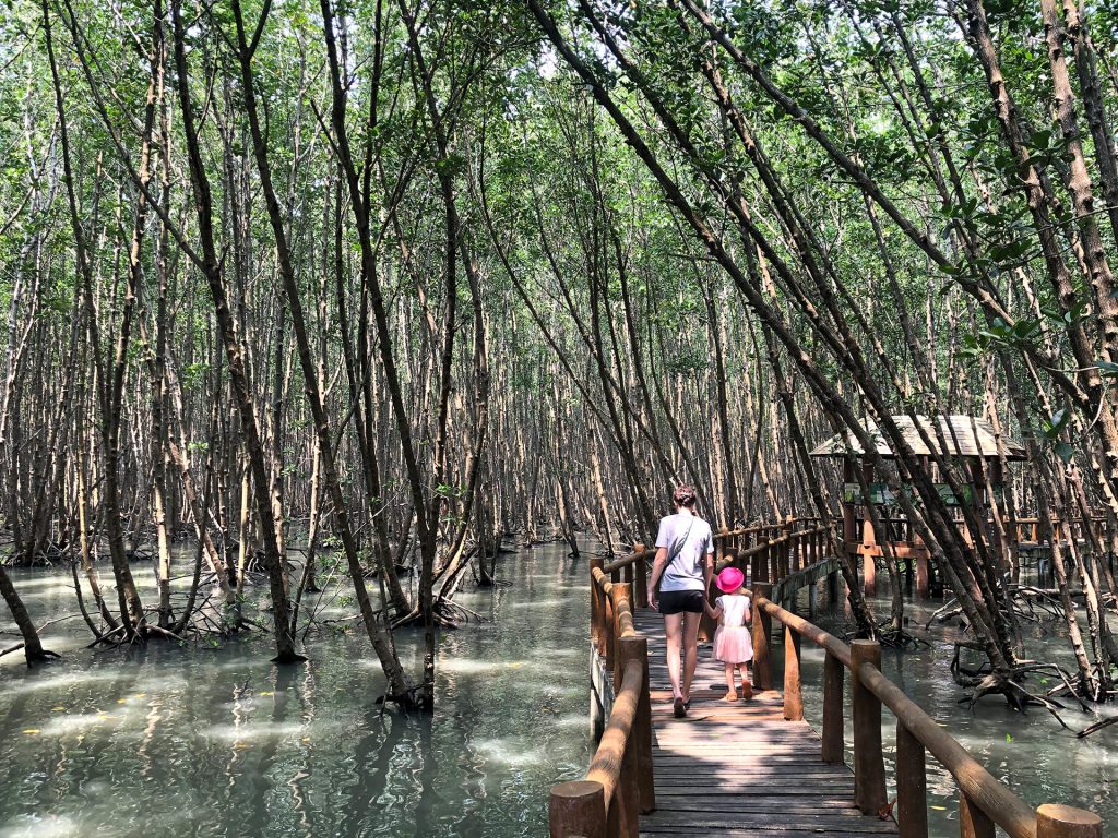 Mangrovenwälder im Mu Kho Chumphon Nationalpark, Thailand